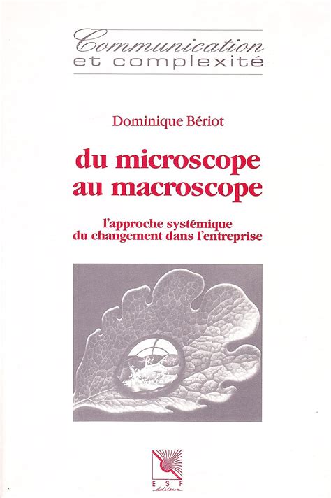 Du microscope au macroscope : l'approche systémique du changement dans l'entreprise (Communication et complexité)